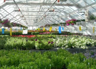 Bruk av plantevernmidler i planteutsalg og hagesentre