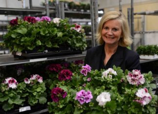 Primaflor: – Det vil bli endringer