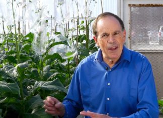 Roboter overvåker avlingen