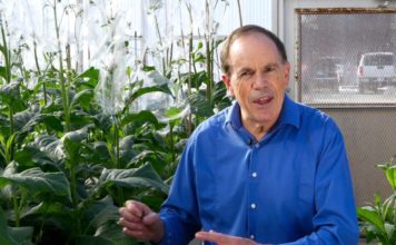 Roboter overvåker avlingen