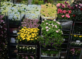 NGF er skuffet over resultatet av EØS forhandlingene om artikkel 19.