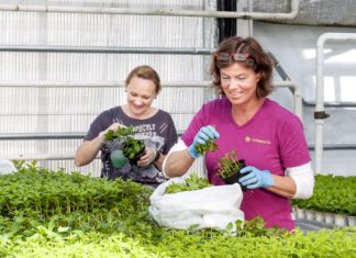 Ny oppstart for Driftsledelse gartner og grønt