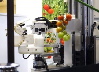 Panasonic lanserer robot-tomatplukker