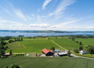 Jordbærbønder vant pris