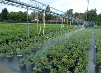 Funksjonstesting av sprøyteutstyr i veksthus