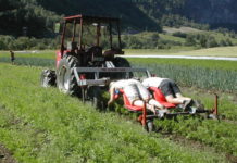 Midt mellom mold og marked