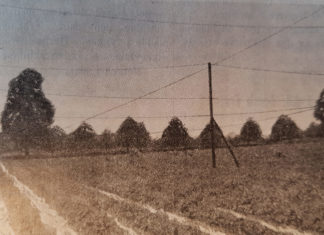 Gartneryrket for 100 år siden: Nye veie – Nye midler?