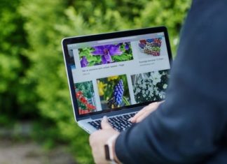 Mattilsynet advarer mot kjøp av planter fra utlandet