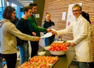 Valgte norske tomater fremfor importerte