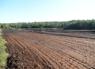Miljødirektoratet på «torvtur» til Rakkestad