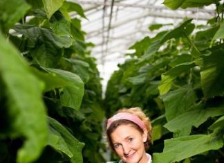 Skarstad Gartneri vinner Bedriftsutviklingsprisen i landbruket