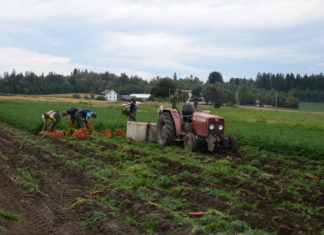 Forlengelse av oppholdstillatelse for utenlandske arbeidere