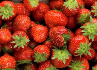 Hva skal den nye norske jordbærsorten hete?