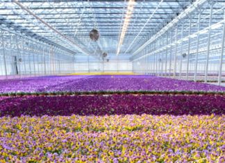 Åtte faktorer som vil forme fremtidens veksthus