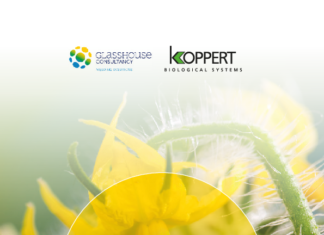 Pollinering ved høye temperaturer