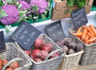 Lyser ut midler til forprosjekter innen grøntsektoren