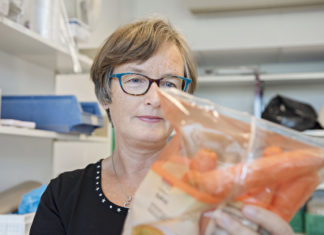 Riktig lagringstemperatur kan minske matsvinn