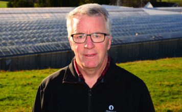 Gjensidige: Færre branner – mer sykdom