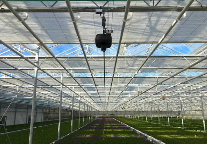 Robotic Photo length of greenhouse