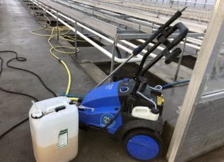 Hvordan lage hygienerutiner mot virus i agurk?