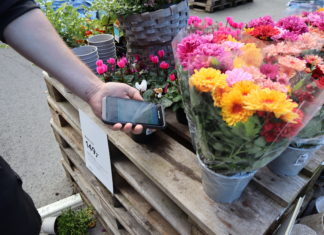 Plantasjen lanserer mobile kasser med Vipps