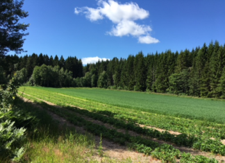 Grøntnæringen i landbruket tar smittevern på alvor