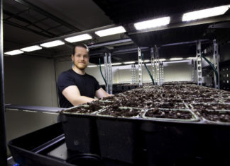 Avisomo låner ut 10 vertikale dyrkesystemer