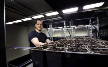 Avisomo låner ut 10 vertikale dyrkesystemer