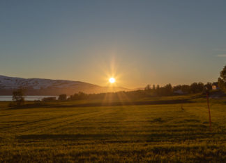 Grøntproduksjon i Nord-Norge