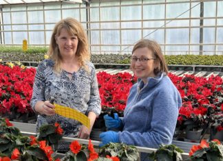 Over 30 år med nyttedyr