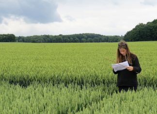 Globalt selskap kjøper norsk teknologi for miljøvennlig plantevernmiddel