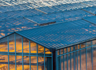 Regjeringen viderefører strømstøtten til blomsterproduksjon i veksthus