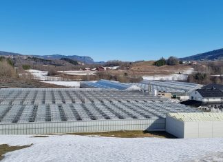 -Sparer mye på å kjøpe gode råd