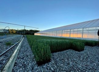 Videreføring av strømstøtteordningen i sommer