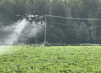 Sprøyter potet med drone