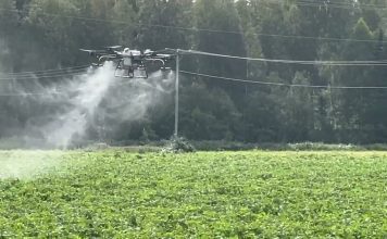 Sprøyter potet med drone