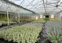 Nytt fra nyttedyrfronten