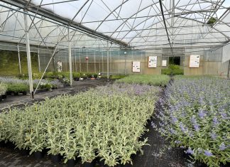 Nytt fra nyttedyrfronten