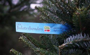 Nå kan du enkelt velge norske juletrær