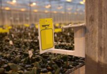 KI og droner mot skadedyr