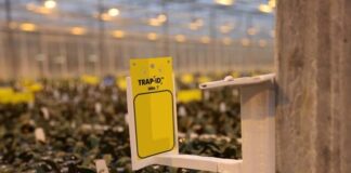 KI og droner mot skadedyr