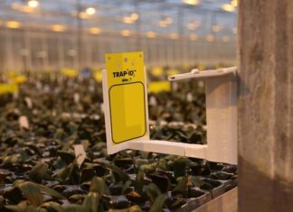 KI og droner mot skadedyr