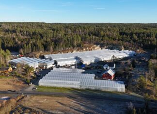 Håndarbeid som sprer glede