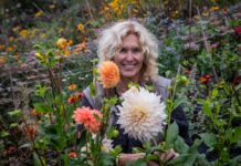 FioriBlomster: En mangfoldig bedrift