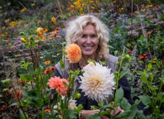 FioriBlomster: En mangfoldig bedrift