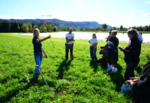 Inspirasjon fra Hørte Gård