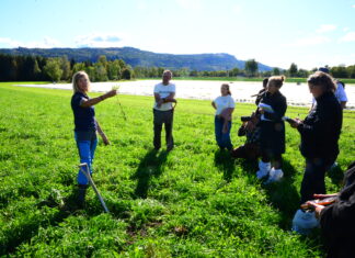 Inspirasjon fra Hørte Gård