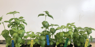 Ull, fjær og trefiber