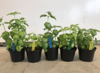 Ull, fjær og trefiber