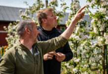 Nye klimakalkulatorer for veksthus